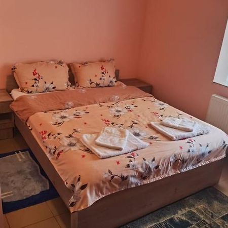 Pensiune Si Cazare La Mitza Temesgyarmat Kültér fotó