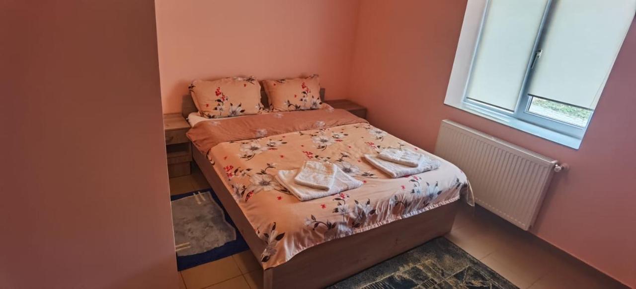 Pensiune Si Cazare La Mitza Temesgyarmat Kültér fotó